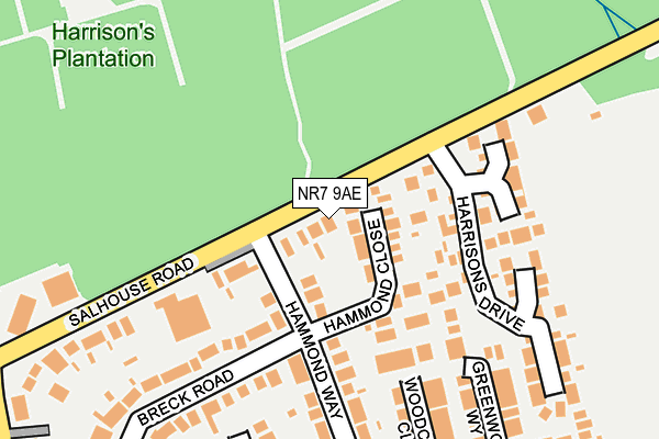 NR7 9AE map - OS OpenMap – Local (Ordnance Survey)