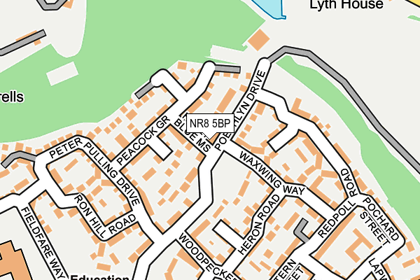 NR8 5BP map - OS OpenMap – Local (Ordnance Survey)