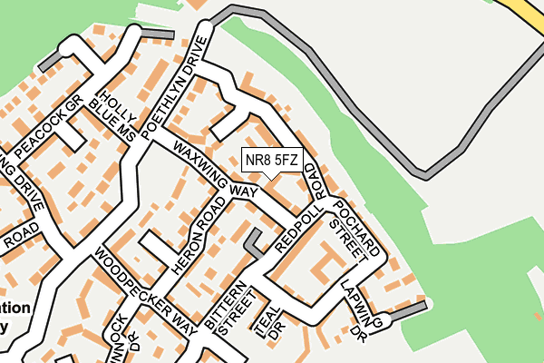 NR8 5FZ map - OS OpenMap – Local (Ordnance Survey)