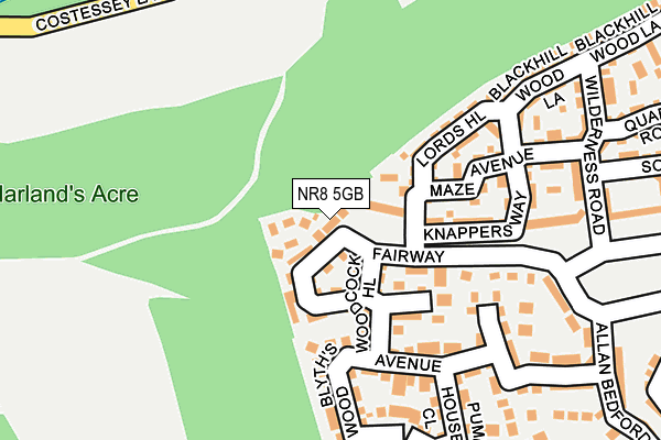 NR8 5GB map - OS OpenMap – Local (Ordnance Survey)