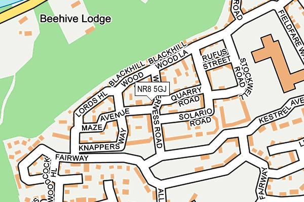 NR8 5GJ map - OS OpenMap – Local (Ordnance Survey)