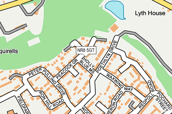 NR8 5GT map - OS OpenMap – Local (Ordnance Survey)