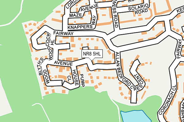 NR8 5HL map - OS OpenMap – Local (Ordnance Survey)