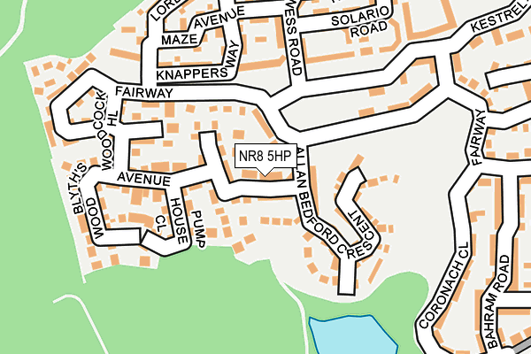 NR8 5HP map - OS OpenMap – Local (Ordnance Survey)