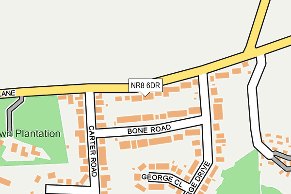 NR8 6DR map - OS OpenMap – Local (Ordnance Survey)