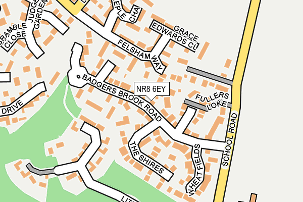 NR8 6EY map - OS OpenMap – Local (Ordnance Survey)