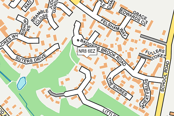 NR8 6EZ map - OS OpenMap – Local (Ordnance Survey)