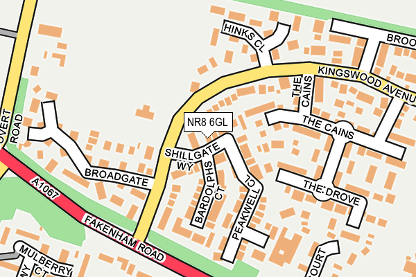 NR8 6GL map - OS OpenMap – Local (Ordnance Survey)