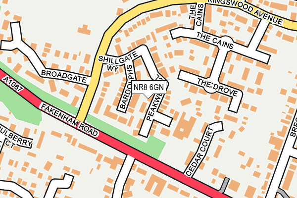 NR8 6GN map - OS OpenMap – Local (Ordnance Survey)
