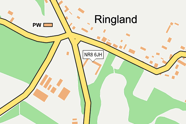 NR8 6JH map - OS OpenMap – Local (Ordnance Survey)