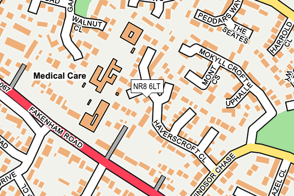 NR8 6LT map - OS OpenMap – Local (Ordnance Survey)