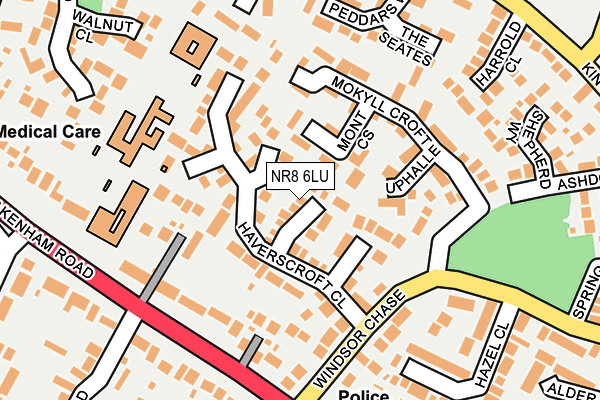 NR8 6LU map - OS OpenMap – Local (Ordnance Survey)