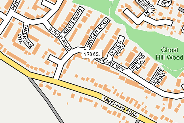 NR8 6SJ map - OS OpenMap – Local (Ordnance Survey)