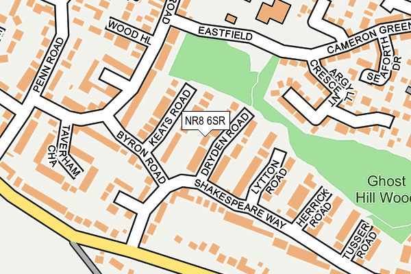 NR8 6SR map - OS OpenMap – Local (Ordnance Survey)
