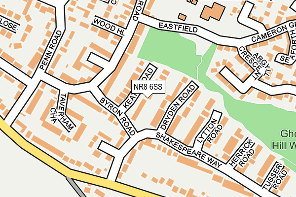 NR8 6SS map - OS OpenMap – Local (Ordnance Survey)