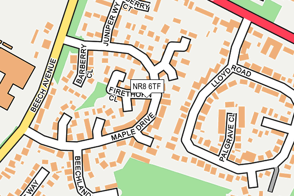 NR8 6TF map - OS OpenMap – Local (Ordnance Survey)