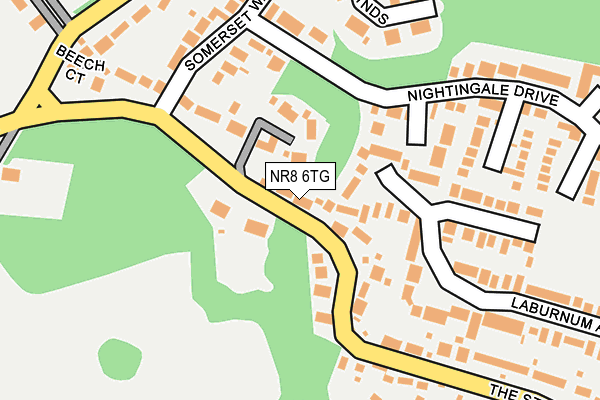 NR8 6TG map - OS OpenMap – Local (Ordnance Survey)