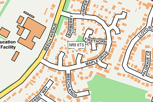 NR8 6TS map - OS OpenMap – Local (Ordnance Survey)