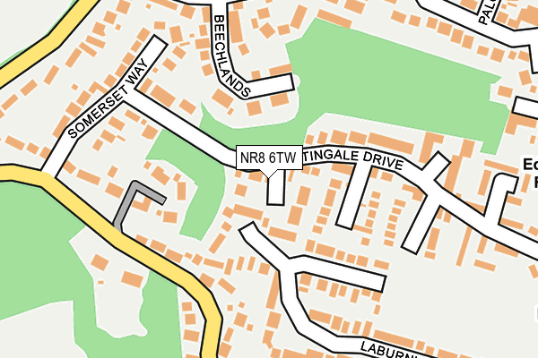 NR8 6TW map - OS OpenMap – Local (Ordnance Survey)