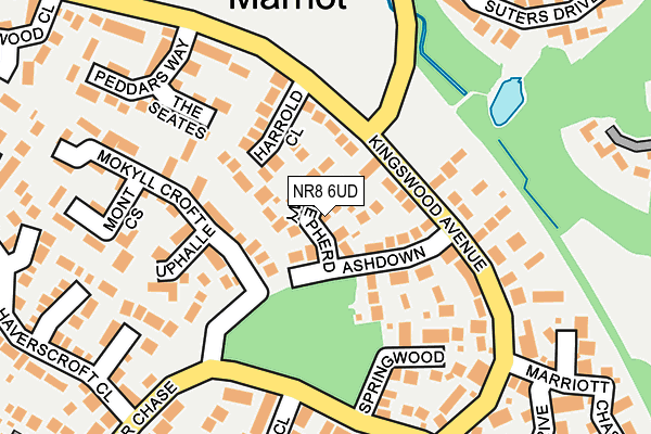 NR8 6UD map - OS OpenMap – Local (Ordnance Survey)