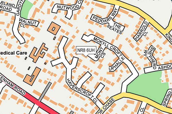 NR8 6UH map - OS OpenMap – Local (Ordnance Survey)