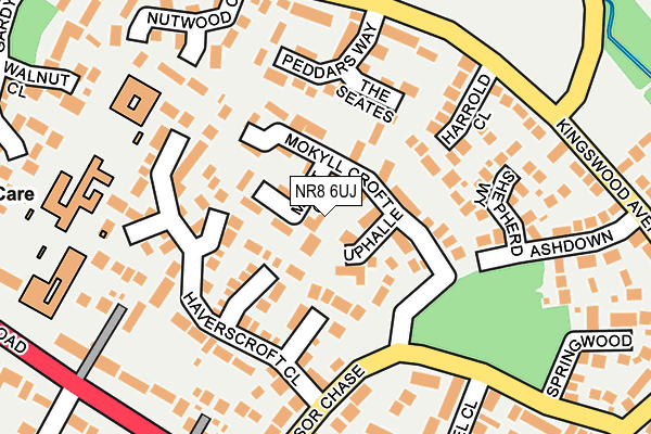 NR8 6UJ map - OS OpenMap – Local (Ordnance Survey)