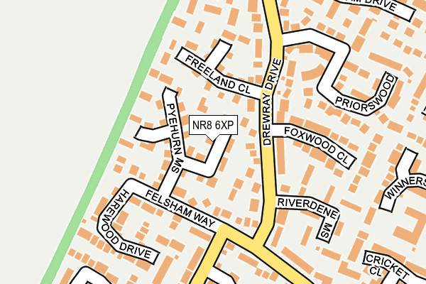 NR8 6XP map - OS OpenMap – Local (Ordnance Survey)