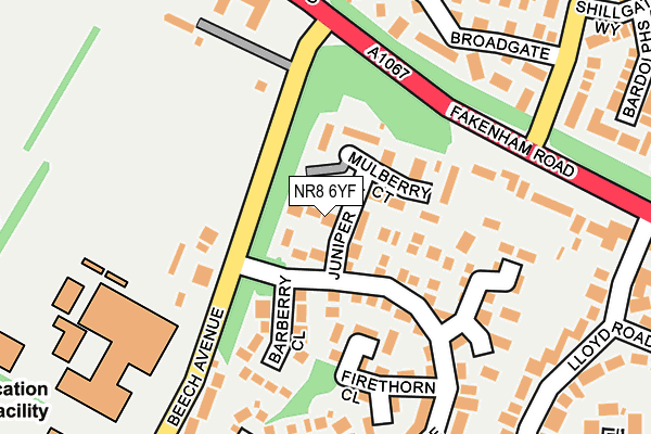 NR8 6YF map - OS OpenMap – Local (Ordnance Survey)
