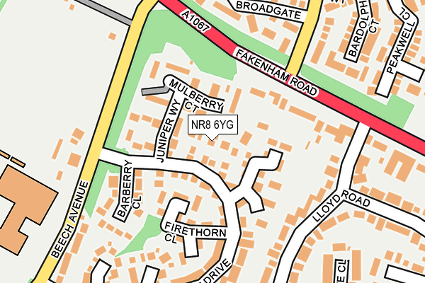 NR8 6YG map - OS OpenMap – Local (Ordnance Survey)