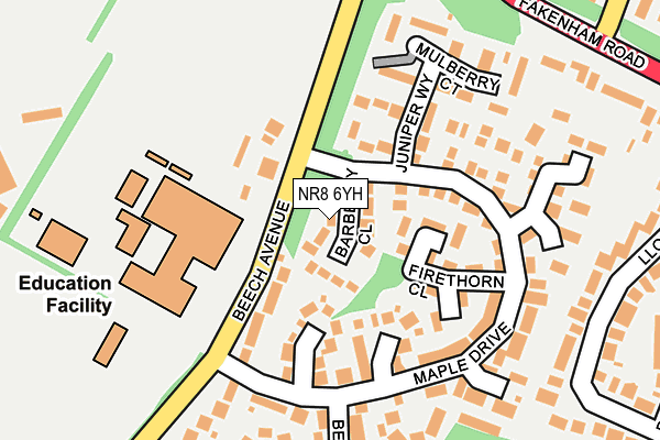 NR8 6YH map - OS OpenMap – Local (Ordnance Survey)