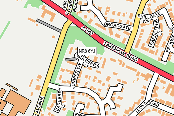 NR8 6YJ map - OS OpenMap – Local (Ordnance Survey)