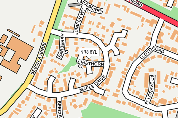 NR8 6YL map - OS OpenMap – Local (Ordnance Survey)