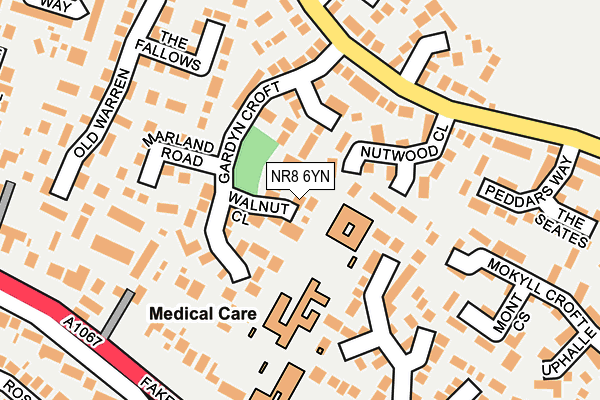 NR8 6YN map - OS OpenMap – Local (Ordnance Survey)