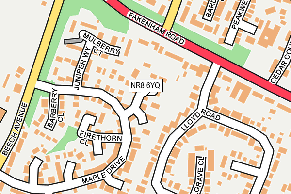 NR8 6YQ map - OS OpenMap – Local (Ordnance Survey)