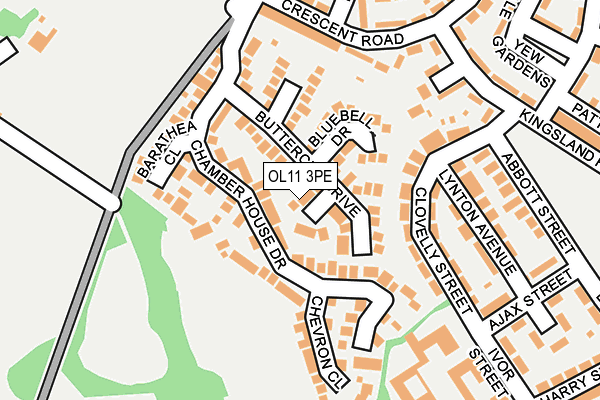 OL11 3PE map - OS OpenMap – Local (Ordnance Survey)