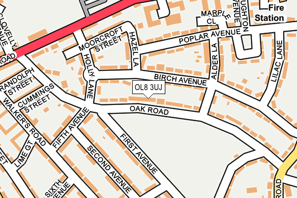 OL8 3UJ map - OS OpenMap – Local (Ordnance Survey)