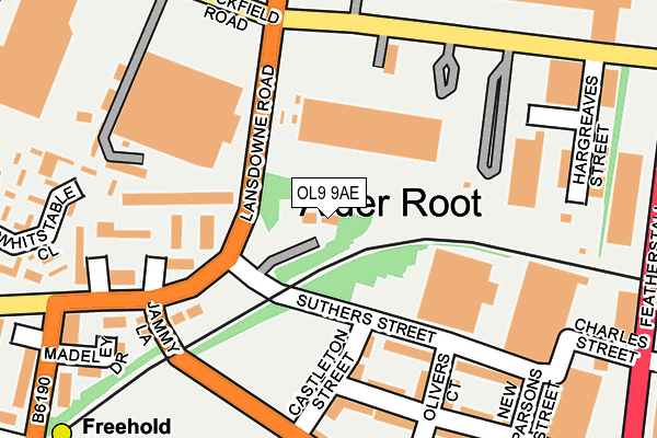 OL9 9AE map - OS OpenMap – Local (Ordnance Survey)