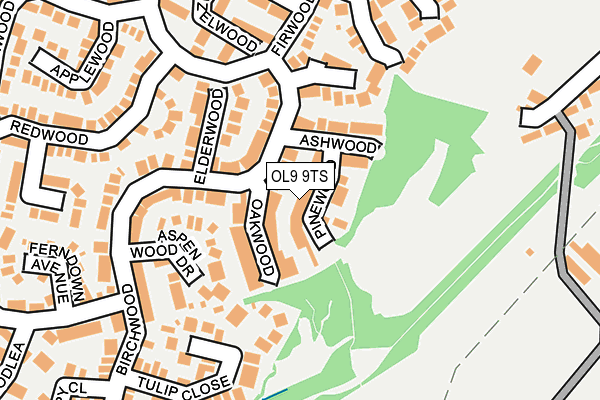 OL9 9TS map - OS OpenMap – Local (Ordnance Survey)