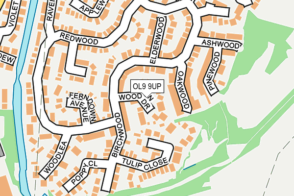 OL9 9UP map - OS OpenMap – Local (Ordnance Survey)