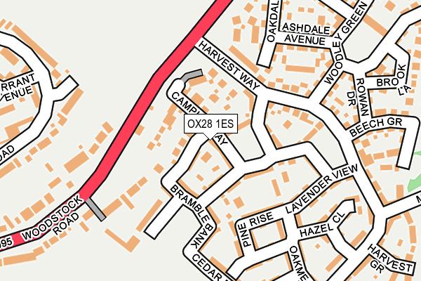 OX28 1ES map - OS OpenMap – Local (Ordnance Survey)