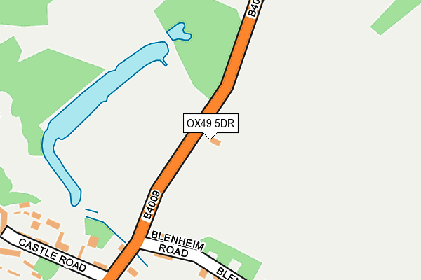 OX49 5DR map - OS OpenMap – Local (Ordnance Survey)