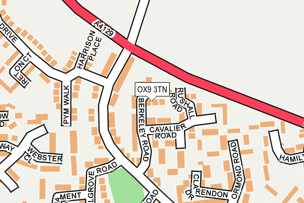 OX9 3TN map - OS OpenMap – Local (Ordnance Survey)