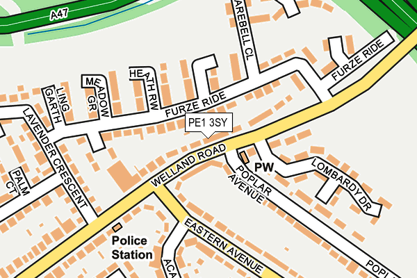 PE1 3SY map - OS OpenMap – Local (Ordnance Survey)
