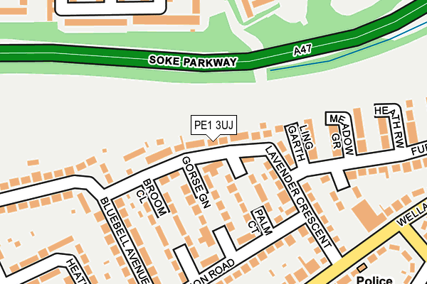 PE1 3UJ map - OS OpenMap – Local (Ordnance Survey)