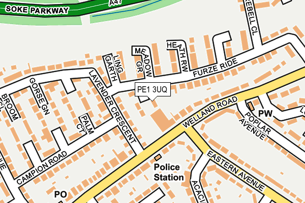 PE1 3UQ map - OS OpenMap – Local (Ordnance Survey)