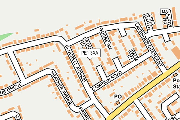 PE1 3XA map - OS OpenMap – Local (Ordnance Survey)