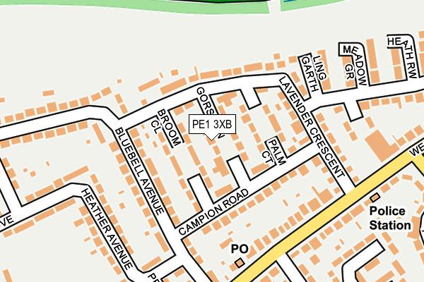 PE1 3XB map - OS OpenMap – Local (Ordnance Survey)