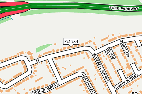 PE1 3XH map - OS OpenMap – Local (Ordnance Survey)