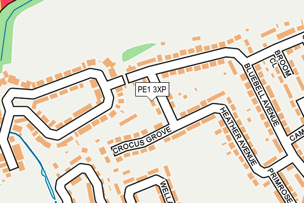 PE1 3XP map - OS OpenMap – Local (Ordnance Survey)