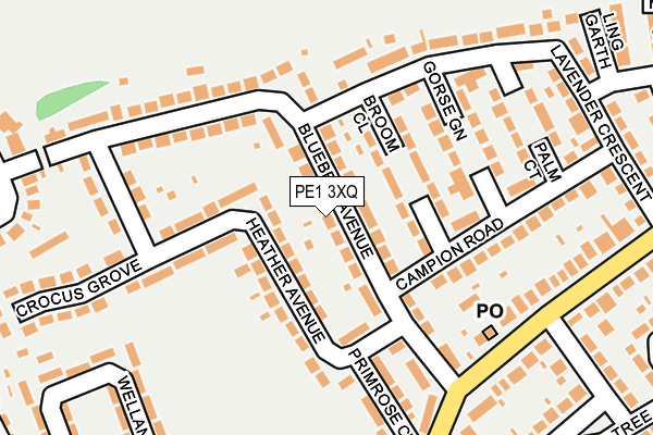 PE1 3XQ map - OS OpenMap – Local (Ordnance Survey)